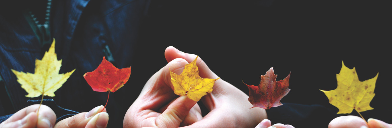 5 reasons not to miss the Insurance Asset Management Summit