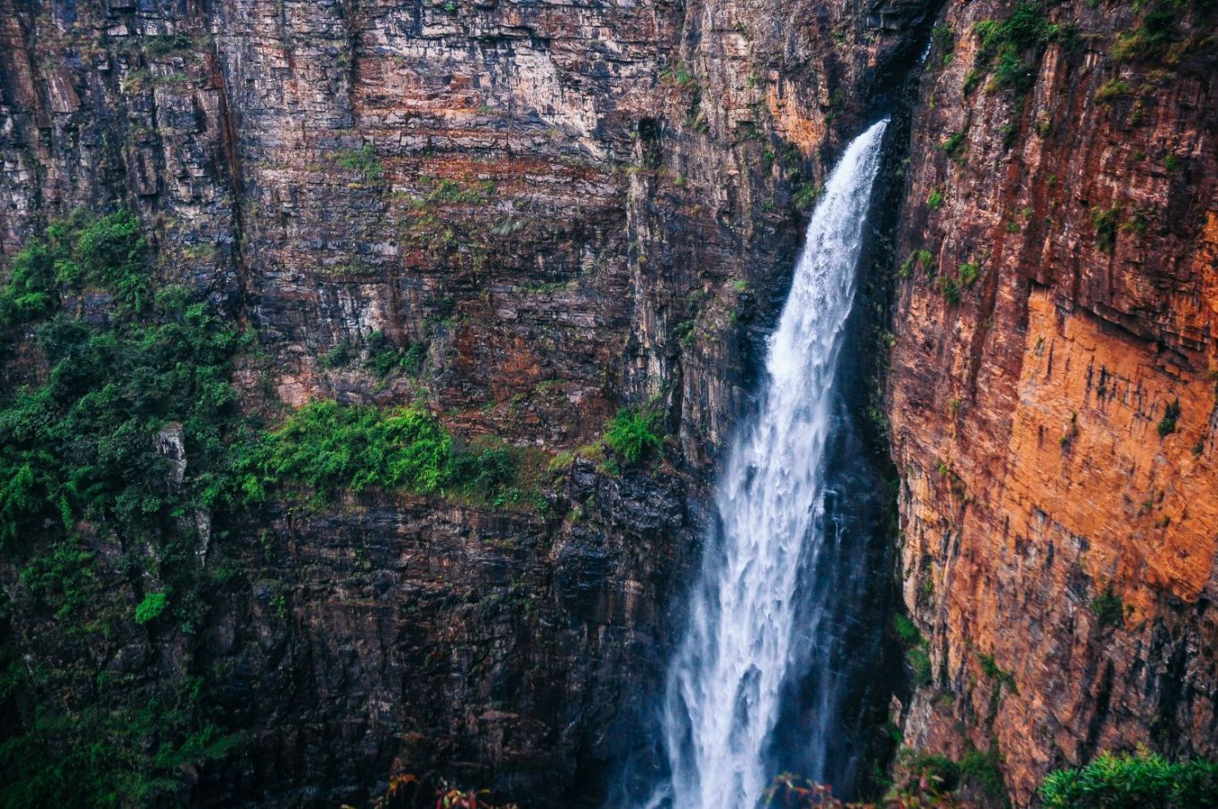 Ready, Set, Hike?